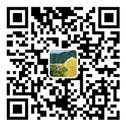 55世纪登录入口